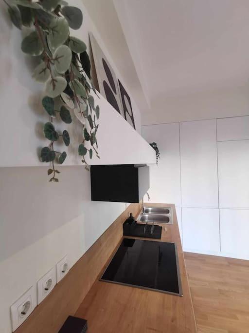 Apartament Cdv Stylish Athens Flat Zewnętrze zdjęcie
